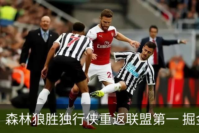 森林狼胜独行侠重返联盟第一 掘金胜篮网3连胜